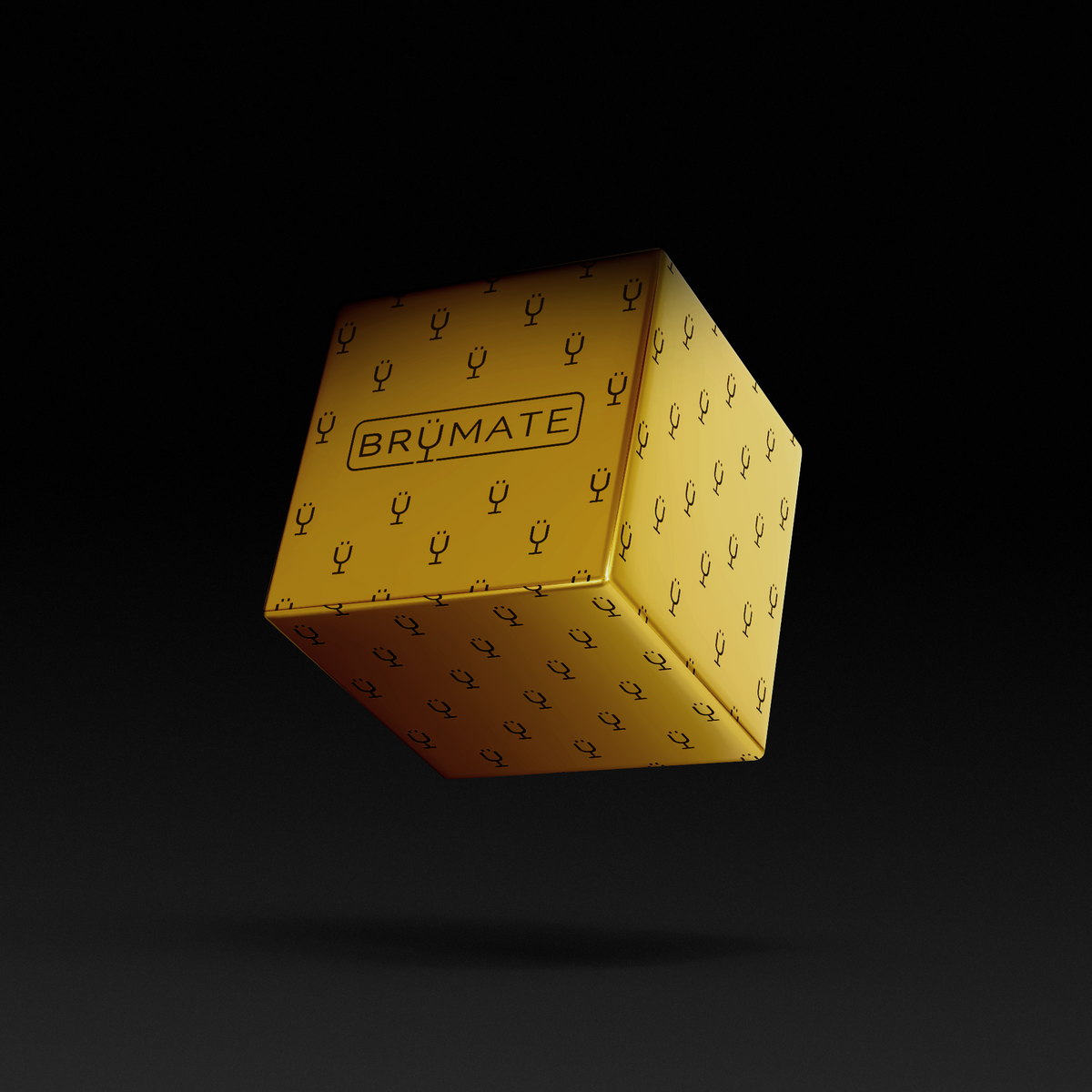 premium-mystery-item-39-70-value-j7 IMG-1548.png